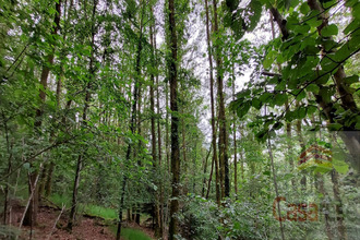 achat terrain champagney 70290