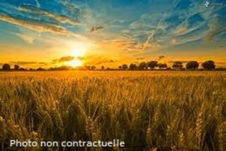 achat terrain champcenest 77560