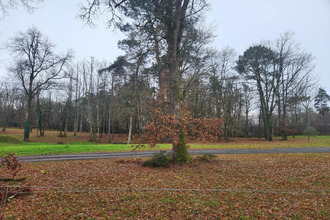 achat terrain chancelade 24650