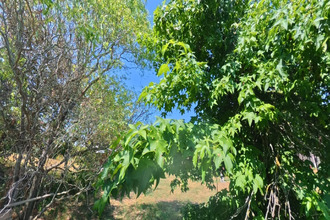 achat terrain chasselay 38470