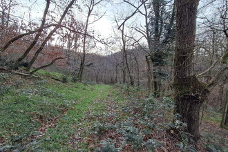 achat terrain chasselay 69380