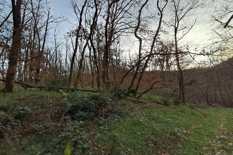 achat terrain chasselay 69380