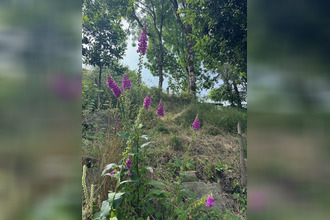 achat terrain chateau-guibert 85320