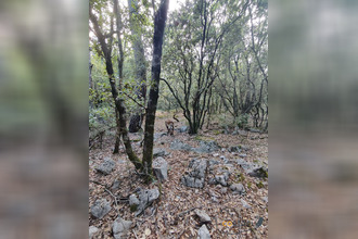 achat terrain chateaudouble 83300