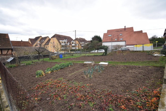 achat terrain chatenois 67730