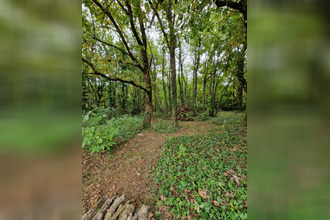 achat terrain chatillon-sur-cher 41130