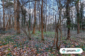 achat terrain chatillon-sur-cher 41130