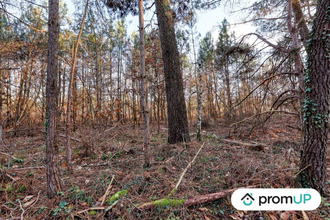 achat terrain chatillon-sur-cher 41130