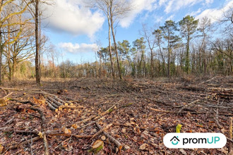 achat terrain chatillon-sur-cher 41130