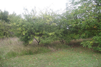 achat terrain chavanges 10330