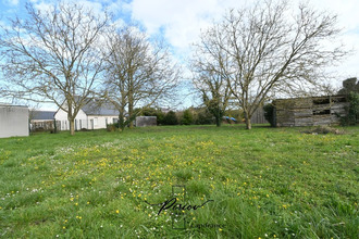 achat terrain chemellier 49320