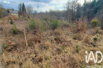 achat terrain chirac-bellevue 19160