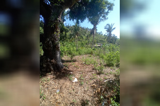 achat terrain chirongui 97620