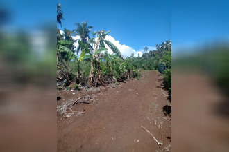 achat terrain chirongui 97620