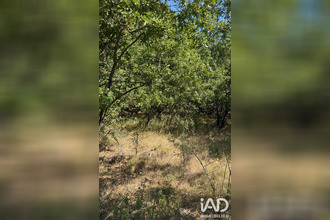 achat terrain cipieres 06620