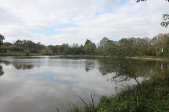 achat terrain ciral 61320