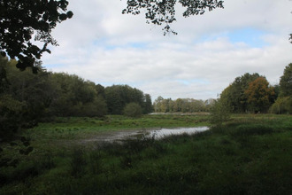 achat terrain ciral 61320