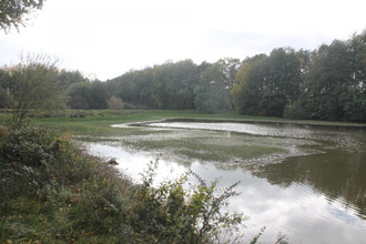 achat terrain ciral 61320