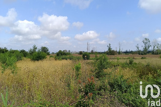achat terrain claira 66530