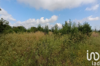 achat terrain claira 66530