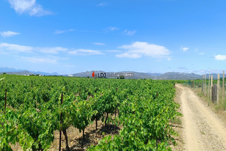 achat terrain claira 66530