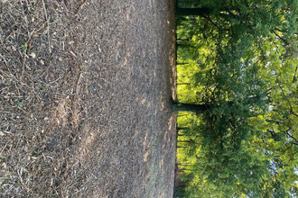 achat terrain clerey 10390