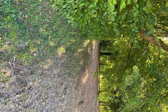 achat terrain clerey 10390