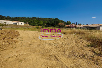 achat terrain clermt-l-herault 34800