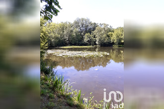 achat terrain cluis 36340