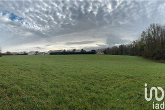 achat terrain coex 85220