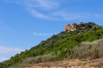 achat terrain coggia 20118