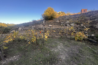 achat terrain collioure 66190