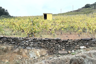 achat terrain collioure 66190