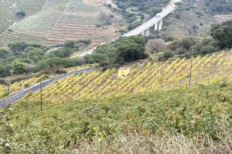 achat terrain collioure 66190