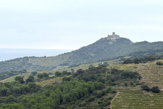 achat terrain collioure 66190