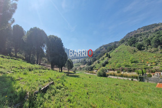 achat terrain collioure 66190