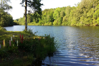 achat terrain compreignac 87140