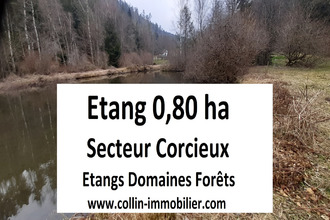 achat terrain corcieux 88430