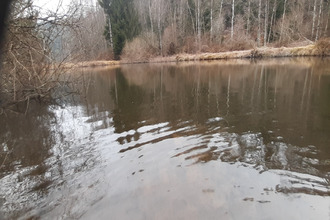 achat terrain corcieux 88430