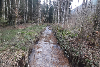 achat terrain corcieux 88430