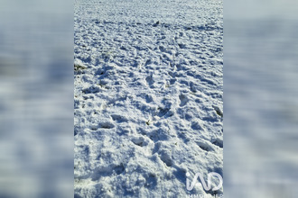 achat terrain corcoue-sur-logne 44650