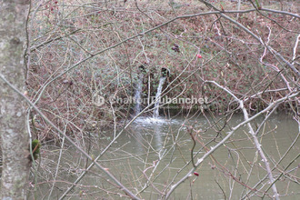 achat terrain cordelle 42123