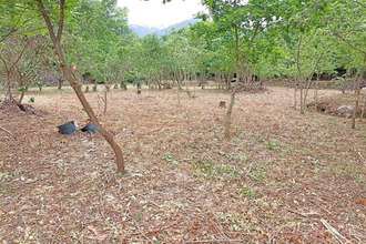 achat terrain corneilla-de-conflent 66820