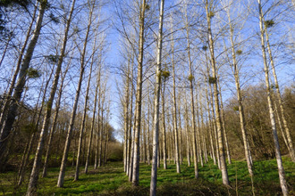 achat terrain corps-nuds 35150