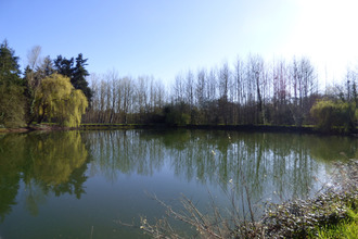 achat terrain corps-nuds 35150