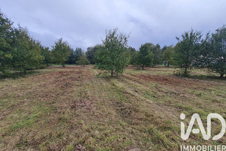 achat terrain coudroy 45260