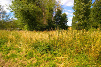 achat terrain coulanges 41150