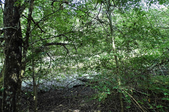 achat terrain coullons 45720