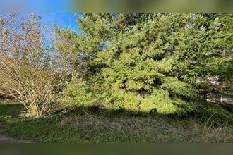 achat terrain coutarnoux 89440