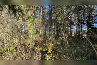 achat terrain coutarnoux 89440